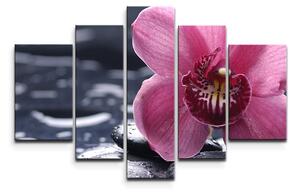 Sablio Obraz - 5-dílný Orchidej - 125x90 cm
