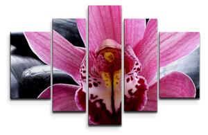 Sablio Obraz - 5-dílný Růžová orchidea - 125x90 cm