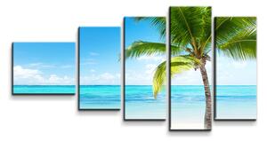 Sablio Obraz - 5-dílný Palma na pláži - 100x60 cm