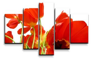 Sablio Obraz - 5-dílný Tulipány - 125x90 cm