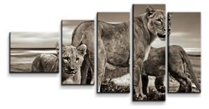 Sablio Obraz - 5-dílný Lvice a lvíčata - 100x60 cm