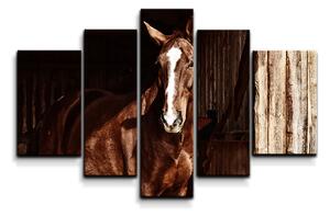 Sablio Obraz - 5-dílný Kůň ve stáji - 125x90 cm