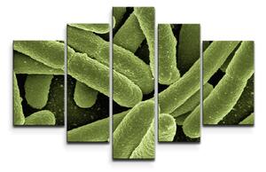 Sablio Obraz - 5-dílný Bakterie - 125x90 cm