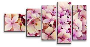 Sablio Obraz - 5-dílný Růžové květy - 100x60 cm