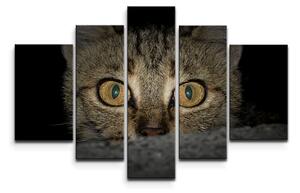Sablio Obraz - 5-dílný Kočka - 125x90 cm