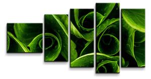 Sablio Obraz - 5-dílný Zelené listy - 100x60 cm