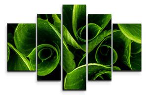 Sablio Obraz - 5-dílný Zelené listy - 125x90 cm