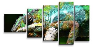 Sablio Obraz - 5-dílný Chameleon - 100x60 cm