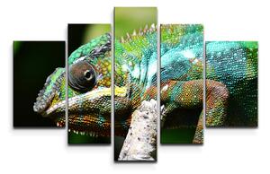 Sablio Obraz - 5-dílný Chameleon - 125x90 cm