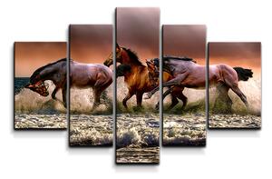 Sablio Obraz - 5-dílný Koně ve vodě - 125x90 cm