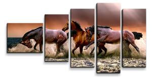 Sablio Obraz - 5-dílný Koně ve vodě - 100x60 cm