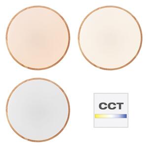 Brilliant - LED Stmívatelné stropní svítidlo SLIMLINE LED/60W/230V + DO