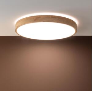 Brilliant - LED Stmívatelné stropní svítidlo SLIMLINE LED/60W/230V + DO