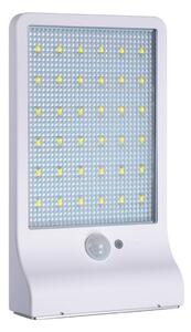 APT ZD45C Venkovní LED lampa se senzorem pohybu a soumraku - bílá
