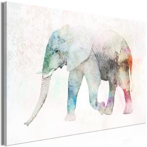 Obraz XXL Malovaný slon