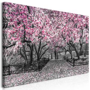 Obraz XXL Magnolia park - růžová II