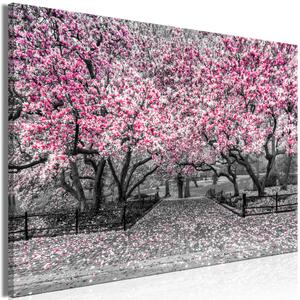 Obraz XXL Magnolia park - růžová