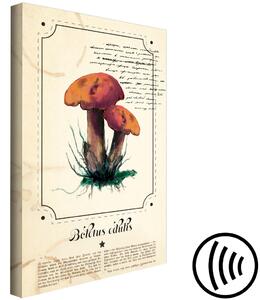Obraz Atlas hub (1-dílný) svislý - houby v provensálském stylu