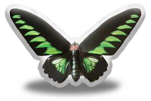Sablio 3D polštář ve tvaru Motýl