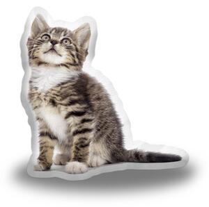 Polštář 3D SABLIO - Mourované koťátko