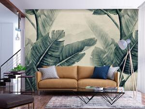 Fototapeta Abstraktní příroda džungle - tropický motiv s listy banánovníku