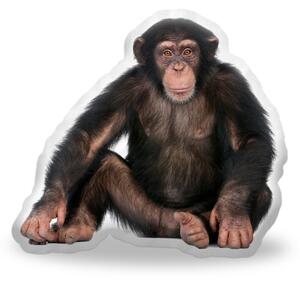 Sablio 3D polštář ve tvaru Šimpanz