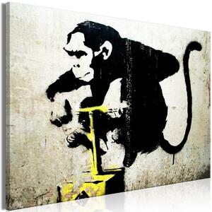 Obraz XXL Opičí detonátor TNT od Banksyho