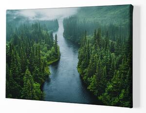 Obraz na plátně - Jehličnaté údolí s mlžnou řekou FeelHappy.cz Velikost obrazu: 60 x 40 cm