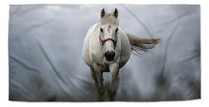 Ručník SABLIO - Bílý kůň 3 30x50 cm
