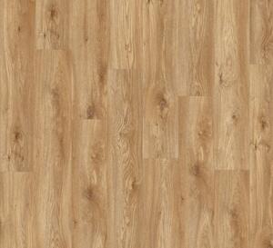 Vinylová podlaha lepená Moduleo Roots 55 EIR Standard - Sierra Oak 58346