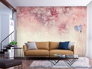 Fototapeta Květinová etuda - abstraktní rostlinný motiv růžových květů s pozadím