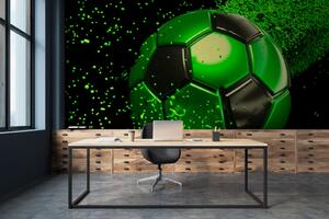 Fototapety Fotbal je světový sport, Fototapety dětské, Fototapety pro chlapce, u72789 : uwalls.cz