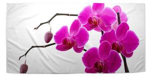 Sablio Ručník Fialové orchideje - 30x50 cm