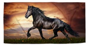 Sablio Ručník Friský kůň - 70x140 cm