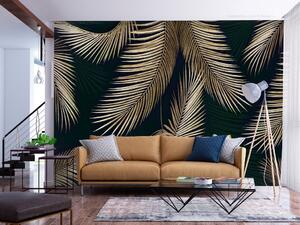 Fototapeta Exotická rostlinnost - motiv listů palmy v střídmých barvách