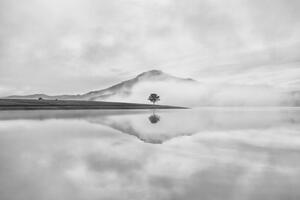 Fotografie Reflective trees on the lake, Thanh Thuy