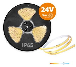 LED Venkovní pásek TRAMO LED/50W/24V 5m IP65 6500K