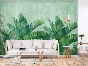 Fototapeta Divoké barvy - grafika s exotickými rostlinami v zelených odstínech