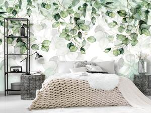 Fototapeta Dekorativní listy - rostlinný motiv v světlých zelených odstínech na bílém pozadí