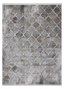 Moderní koberec LUCE 75 vzor Marocký jetel vintage Strukturální šed velikost 115x170 cm | krásné koberce cz