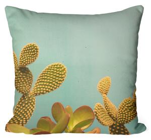 Polštář z mikrovlákna Kaktusové nebe - květinová kompozice na celadonovém pozadí