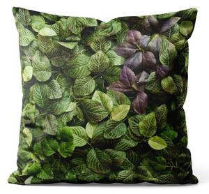 Dekorační velurový polštář Bujná zeleň - bujná vegetace v detailním zobrazení
