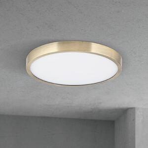 ORION LED stropní svítidlo Disc, antická mosazná barva, Ø 24 cm,, stmívatelný, Bronz / starožitná mosaz, Obývací pokoj / jídelna, Hliník, Moderní