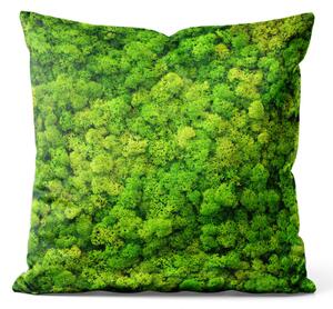 Dekorační velurový polštář Lesní koberec - rostlinná kompozice s bohatým detailním mechem z mikrovlákna