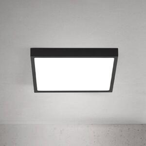 ORION LED stropní svítidlo Disc, černé, délka 24 cm, kov, stmívatelný, Černá, Obývací pokoj / jídelna, Hliník, Moderní