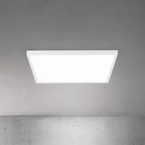 ORION LED stropní svítidlo Disc, bílé, délka 60 cm, kov, stmívatelný, Bílá / opál, Obývací pokoj / jídelna, Hliník, Moderní