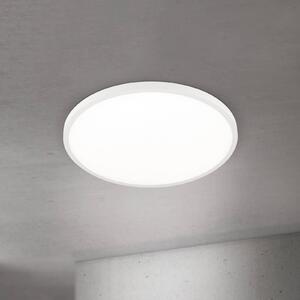 ORION LED stropní svítidlo Disc, bílé Ø 60 cm, kov/plast, stmívatelný, Bílá / opál, Obývací pokoj / jídelna, Hliník, Moderní