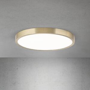 ORION LED stropní svítidlo Disc, antická mosazná barva, Ø 28 cm,, stmívatelný, Bronz / starožitná mosaz, Obývací pokoj / jídelna, Hliník, Moderní