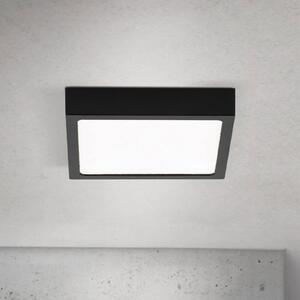 ORION LED stropní svítidlo Disc, černé, délka 14 cm, kov, stmívatelný, Černá, Obývací pokoj / jídelna, Hliník, Moderní