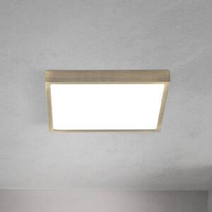 ORION LED stropní svítidlo Disc, antická mosazná barva, délka 24 cm,, stmívatelný, Bronz / starožitná mosaz, Obývací pokoj / jídelna, Hliník, Moderní